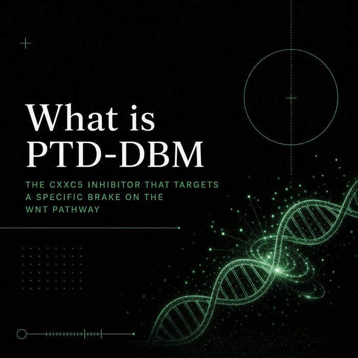What Is PTD-DBM? The CXXC5 Inhibitor That Targets a Specific Brake on the Wnt Pathway